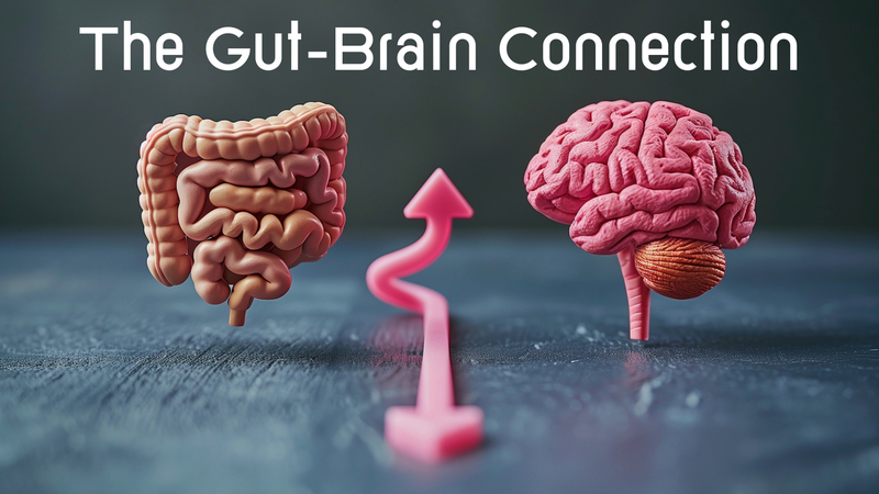 Gut-Brain Connection: The health of the gut affects the health of the brain, and vice-versa